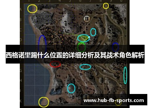 西格诺里踢什么位置的详细分析及其战术角色解析